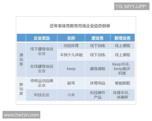 体育组织在推动全球体育发展与合作中的作用与挑战分析